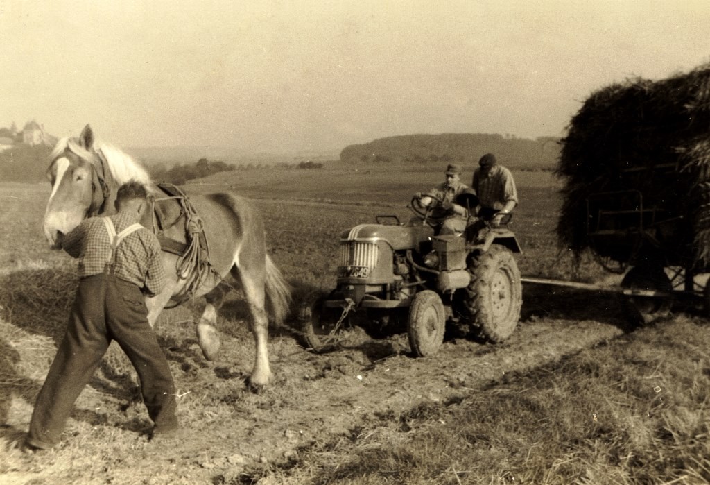 Beim Pferd Bauer Eduard Floren, auf dem Güldner Trecker sein Sohn Josef Floren. Die Aufnahme ist vom September 1956